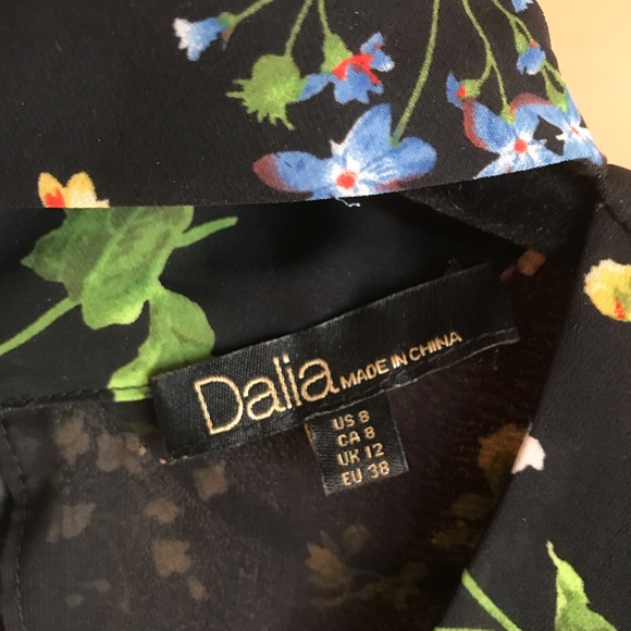 Dalia Collar Tunic Dress, EUC, 8 - Picture 4 of 16